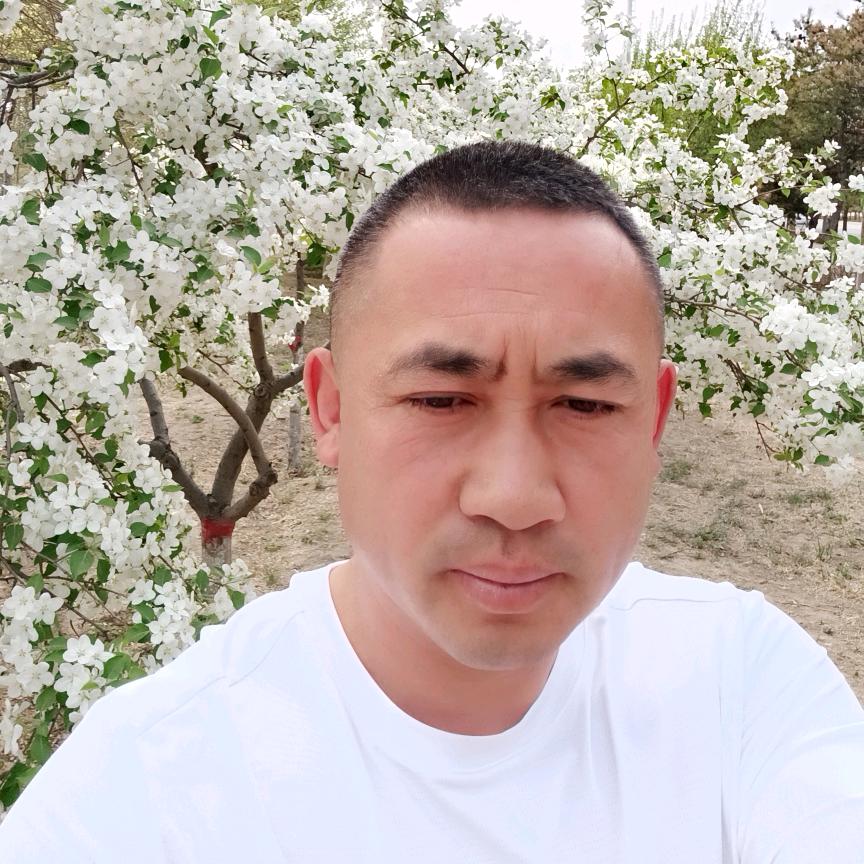 芒果先生