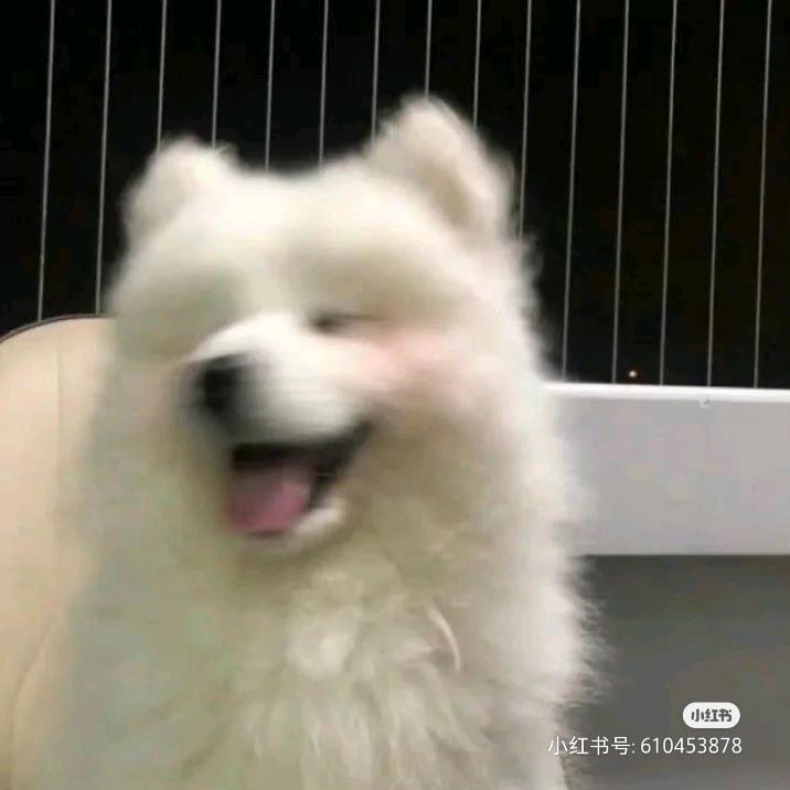 橤.