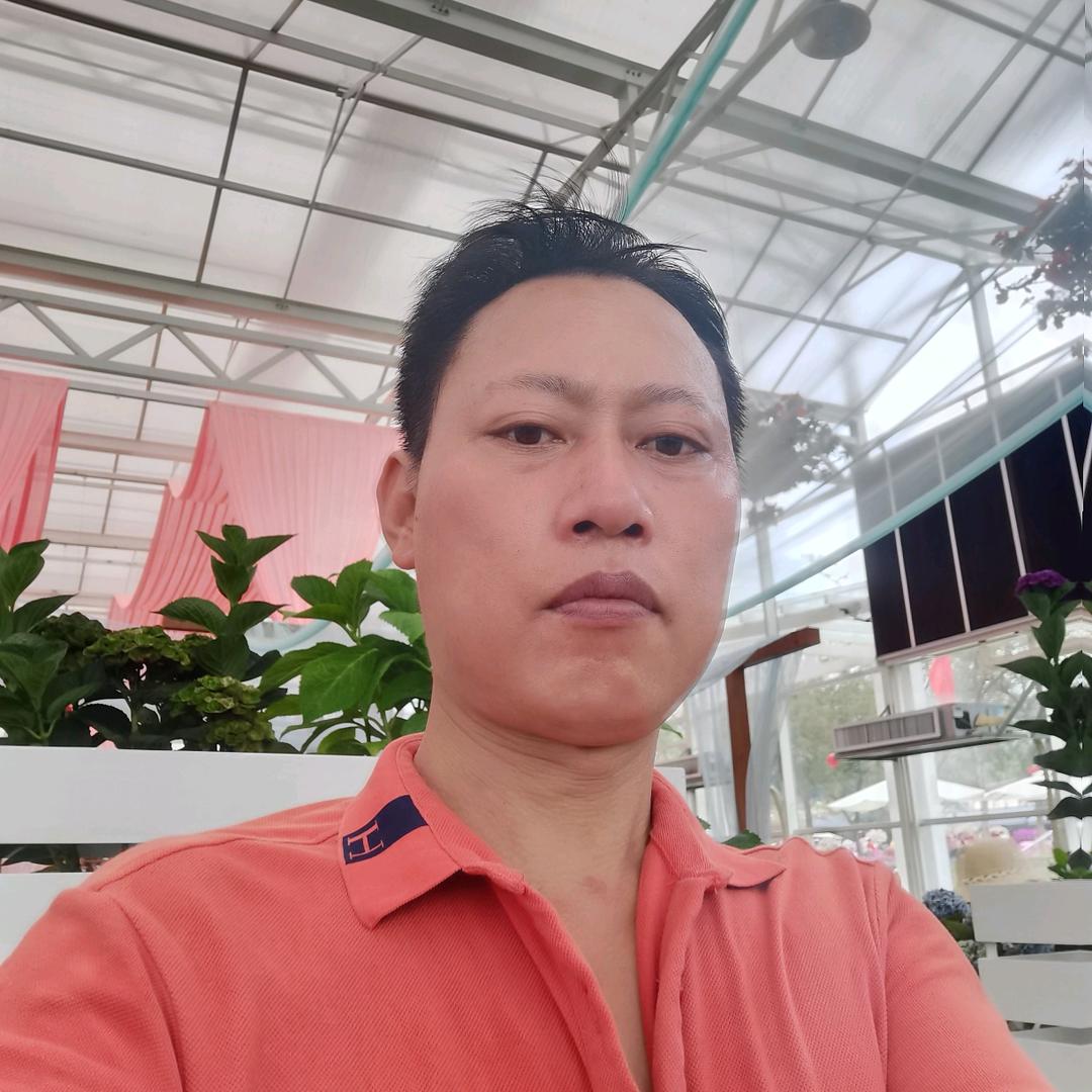 王晓红