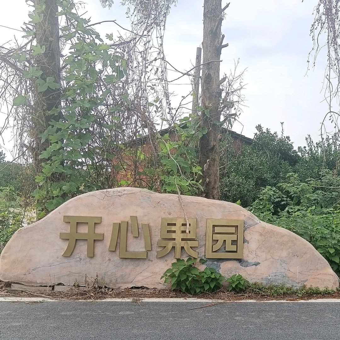 开心果园