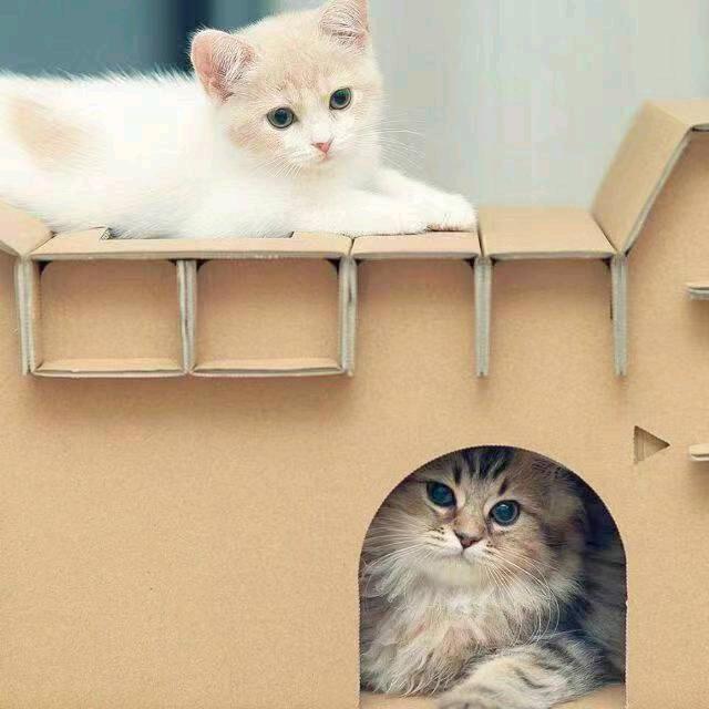 ✔余生有爱♥✔1909