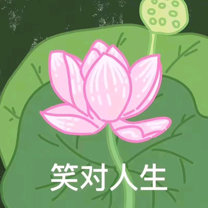 1969年的我好好爱自己