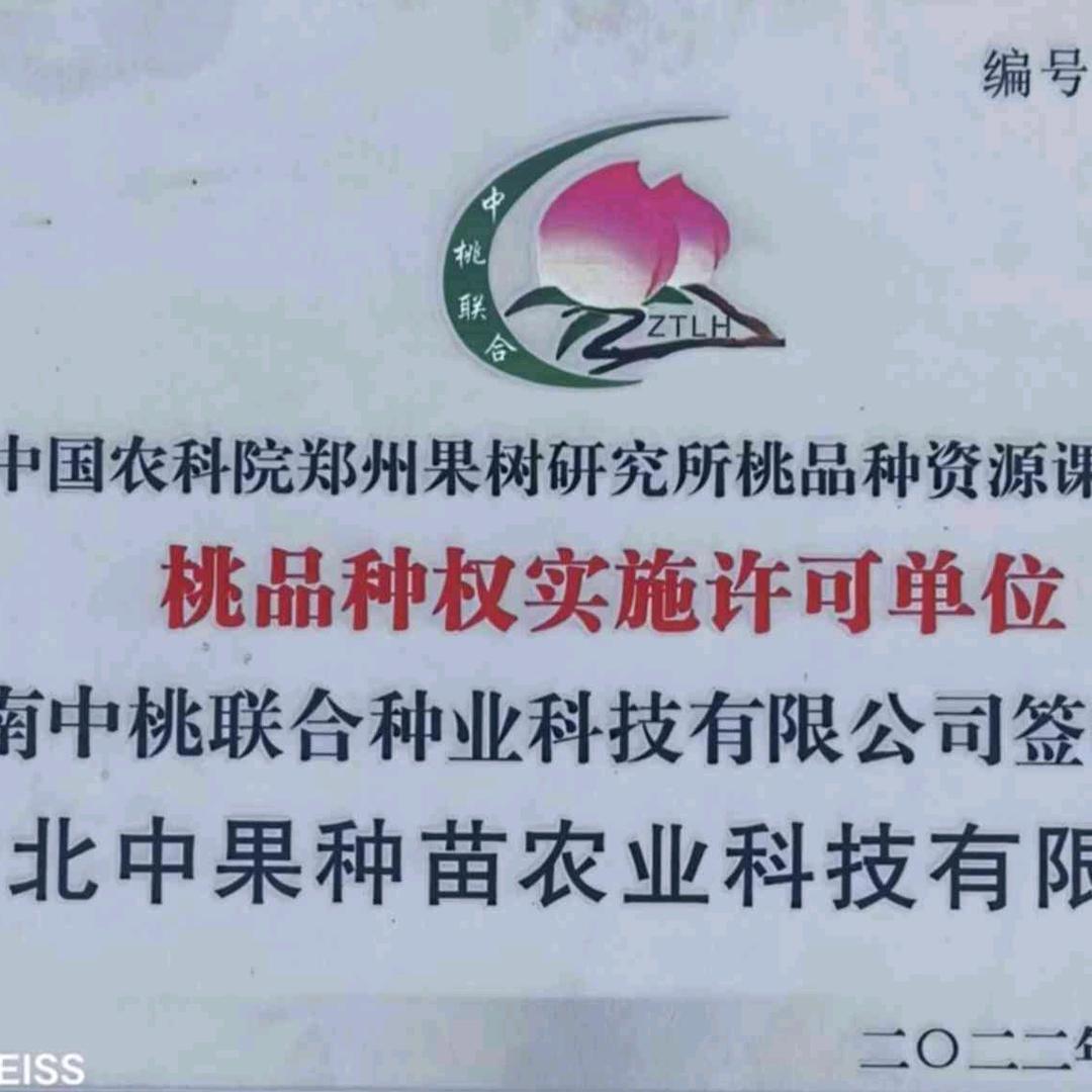 湖北中果种苗【荆虎果业】