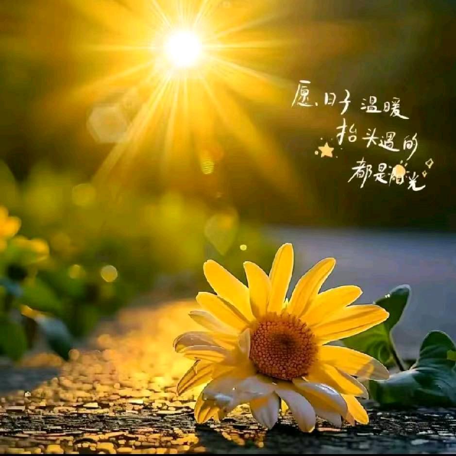 🥀এ᭄时光 ꦿ凉💔人心 ོ࿐ᩚ