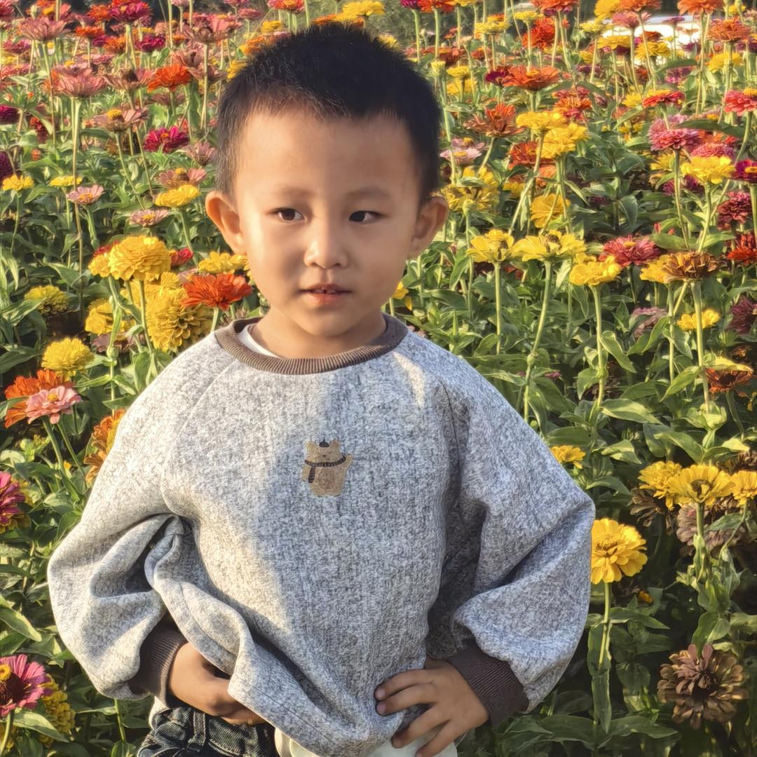 蜂情万种（拒绝私聊）