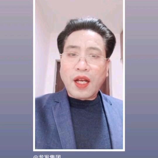 龙发集团