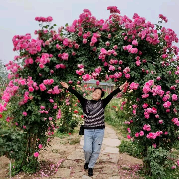 馨园优品分享，(拒私聊)