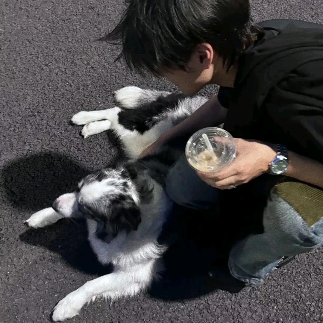 酒安