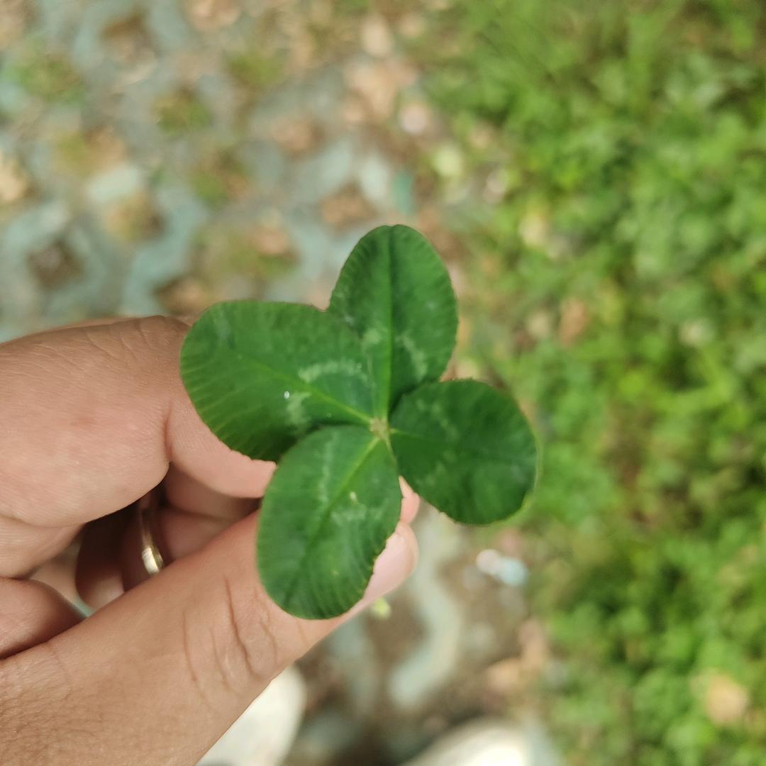 社会主义建设者