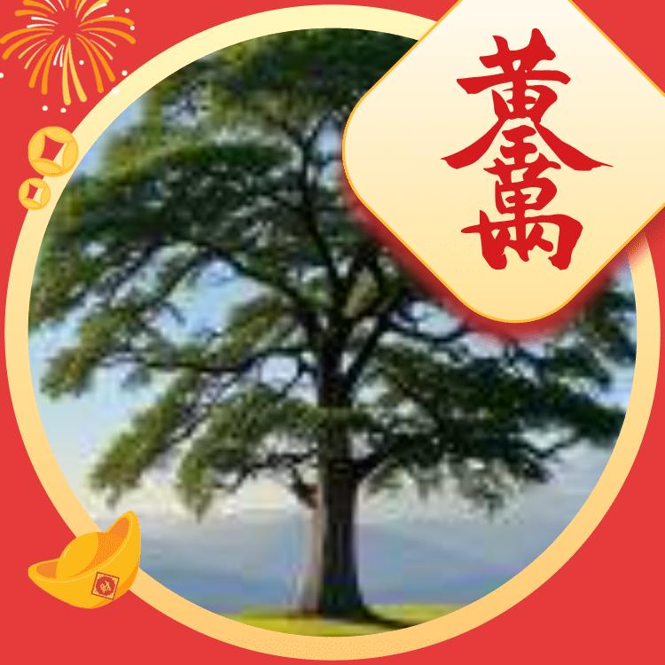 上善若水