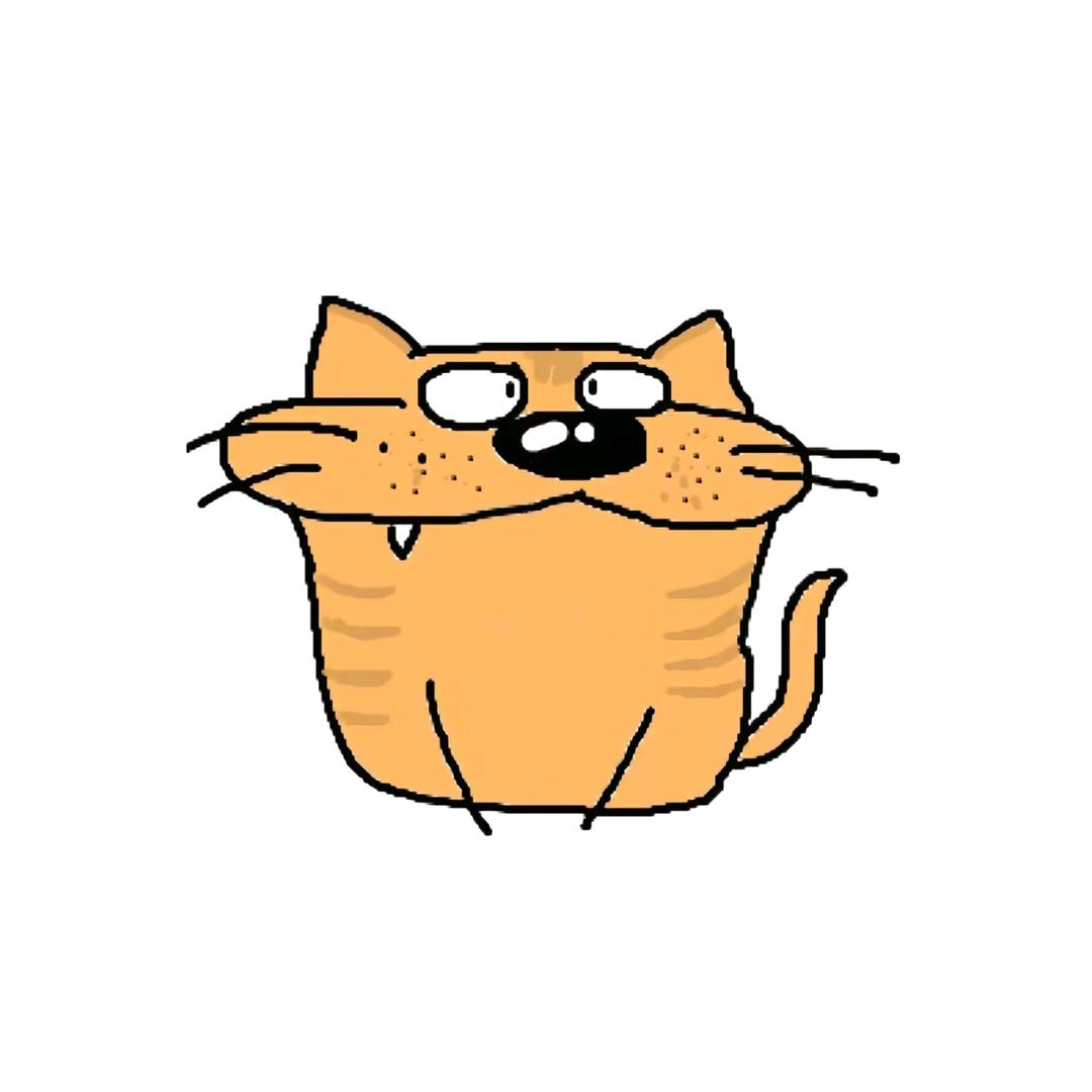 小鱼的猫
