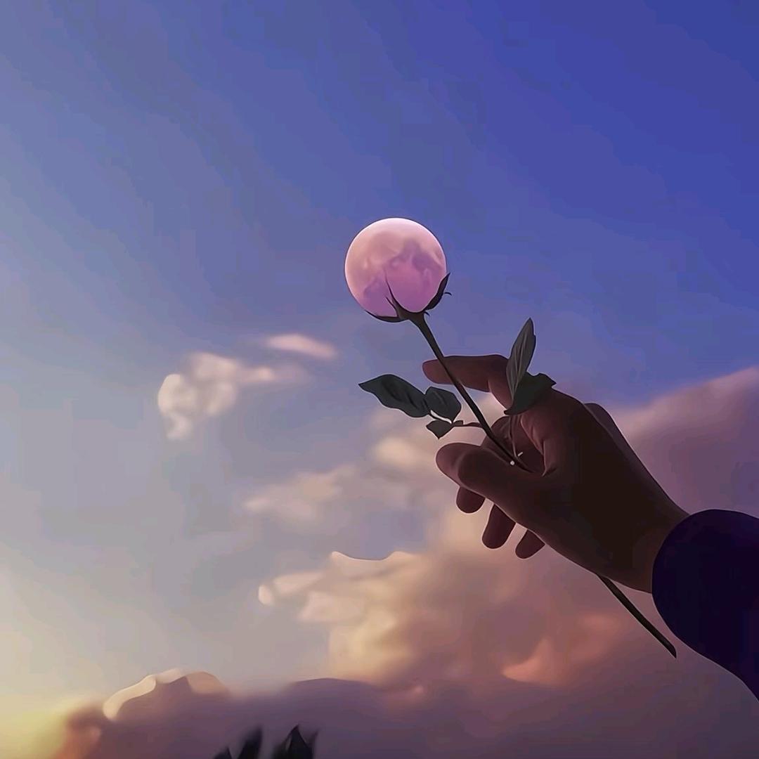 熊咚咚的百宝箱