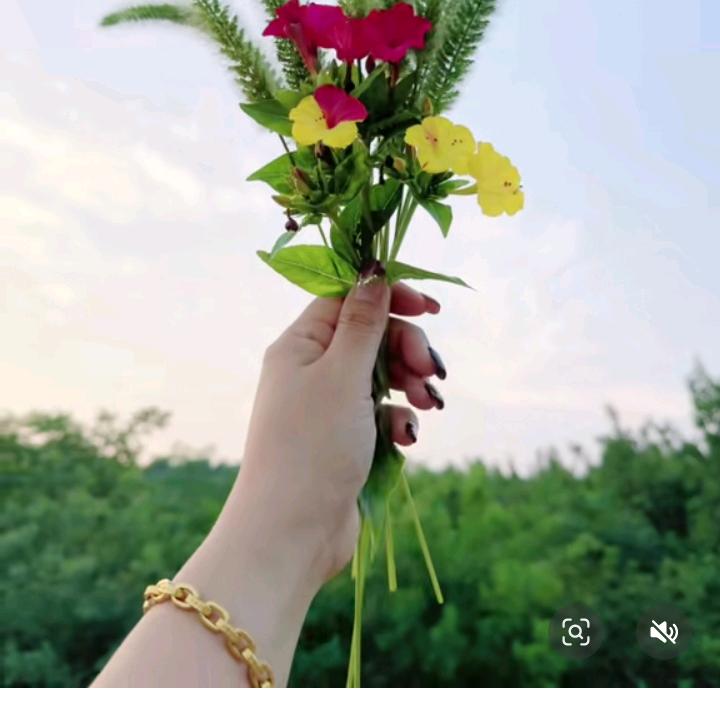 时光客