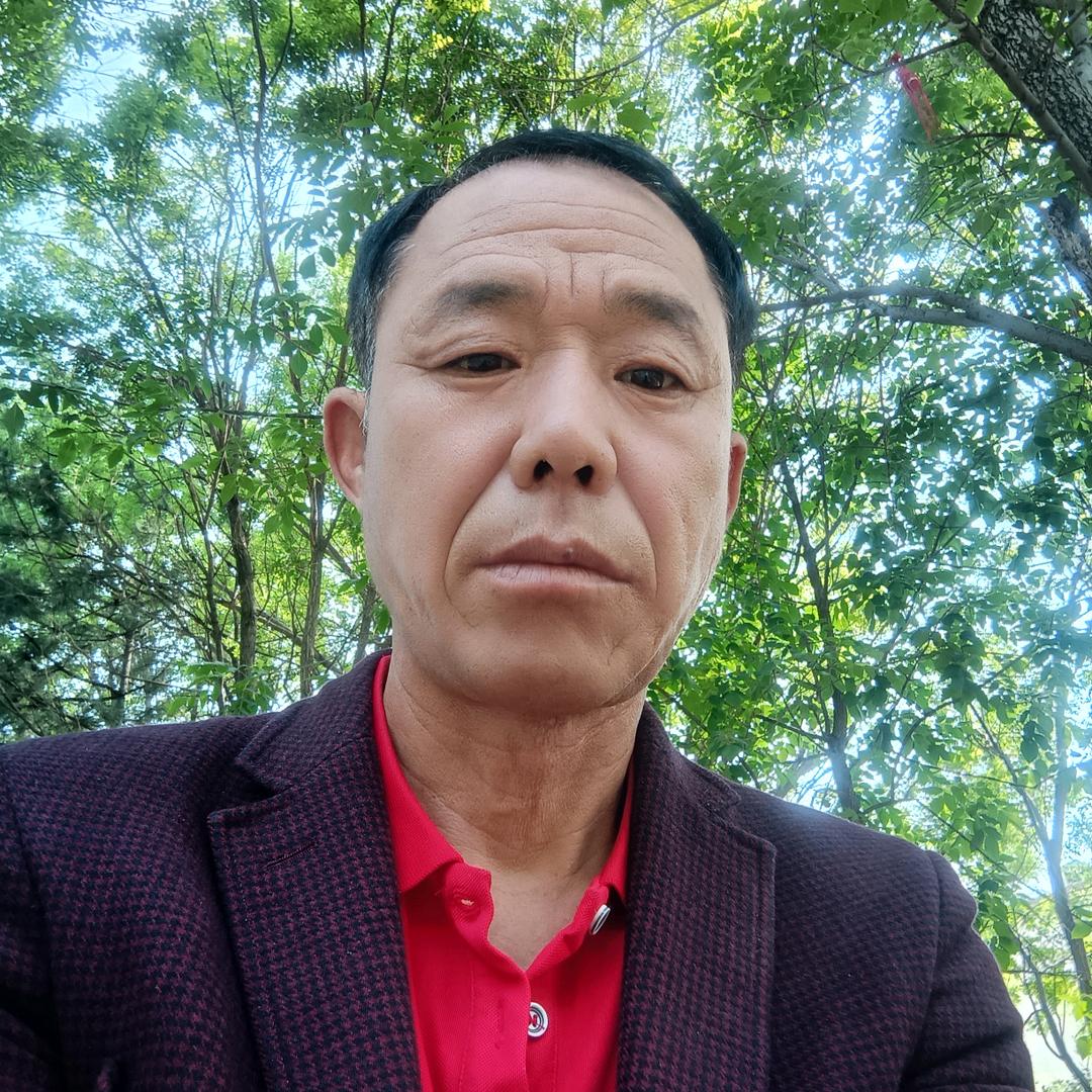 诚信搬运团队