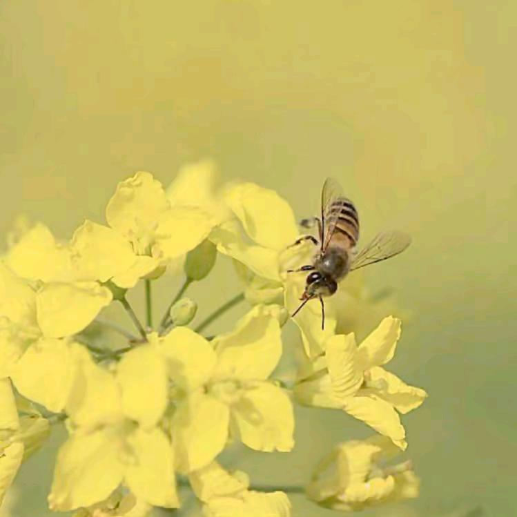 温慧育王场