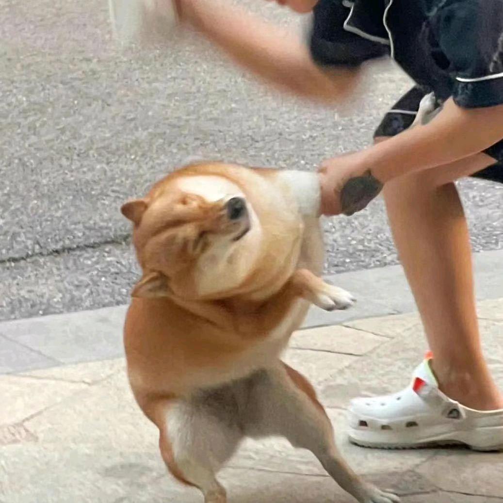 装逼要遭逼打扯