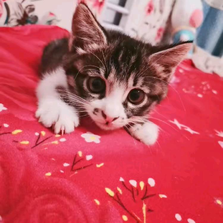 用户7441752010836🐉在天