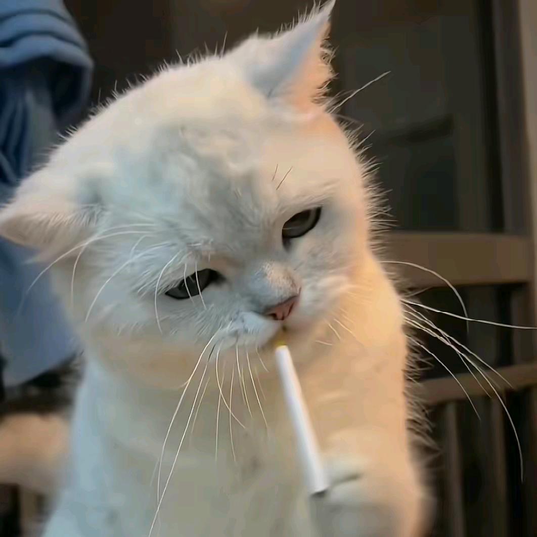 银城
