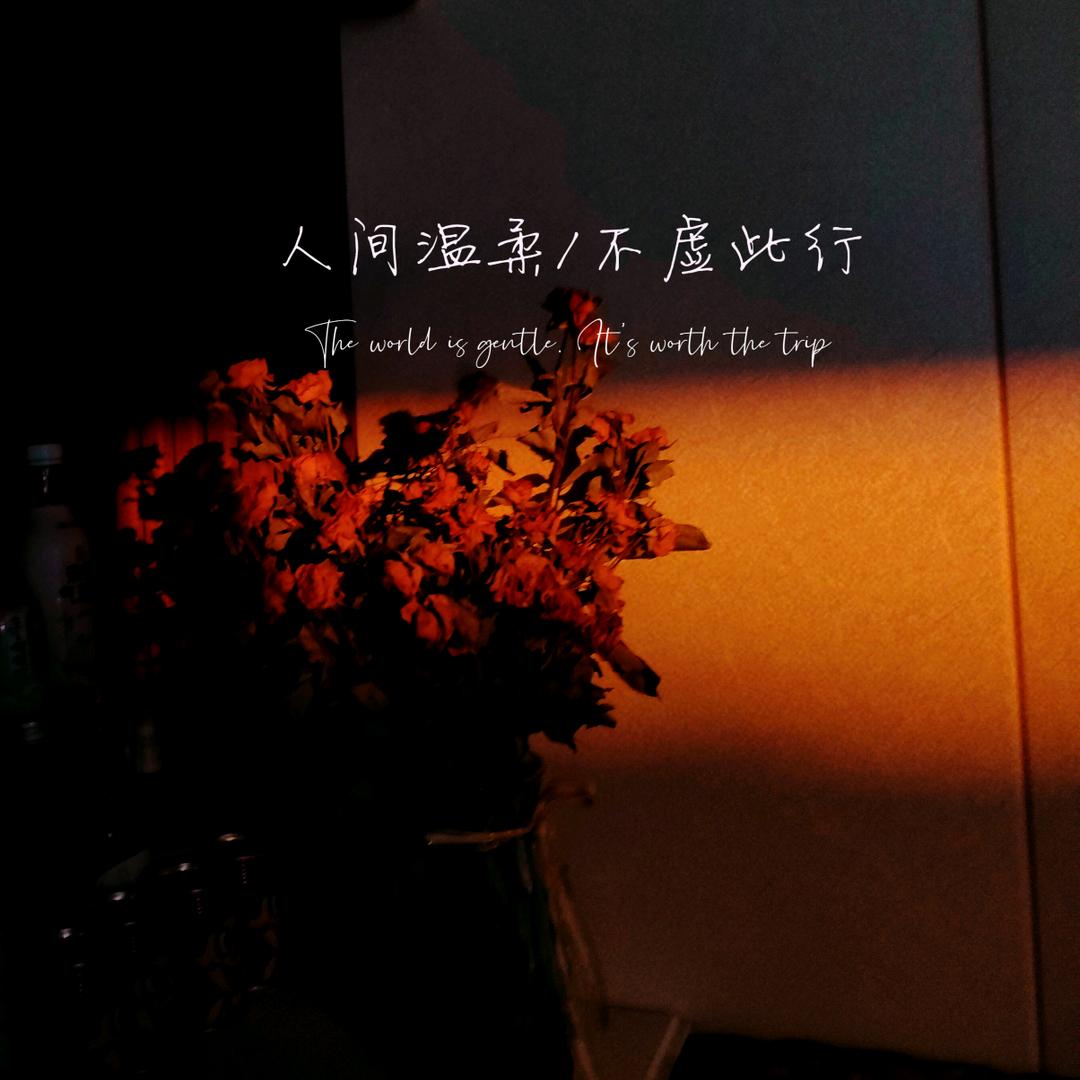 X怀中猫Z（宝宝版）