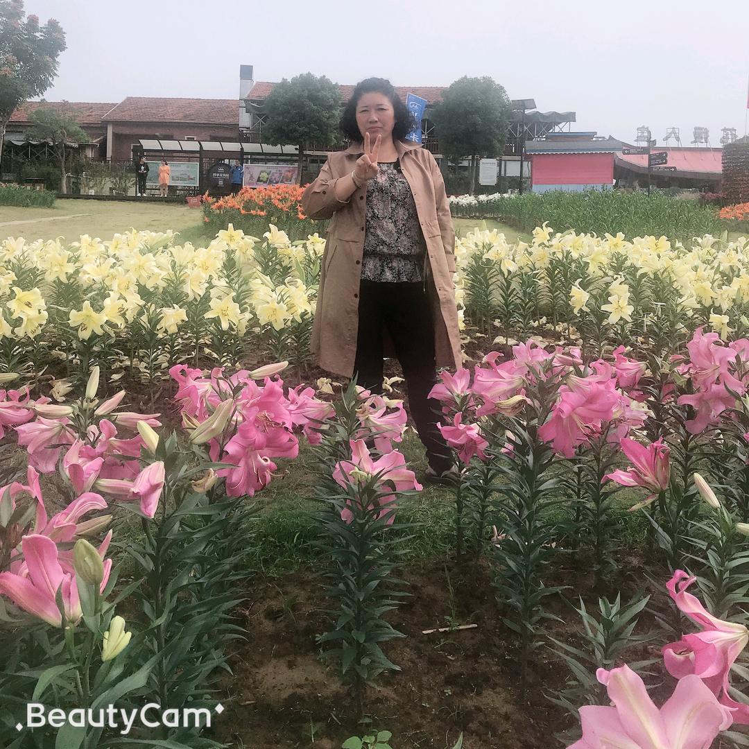 杨满