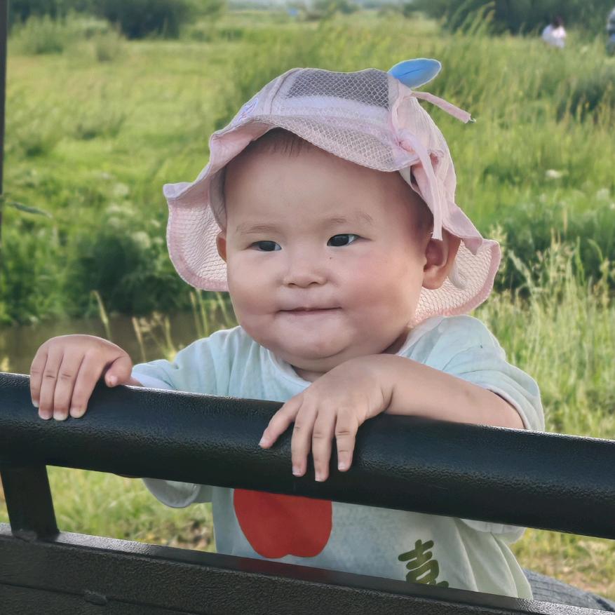 小金鱼儿