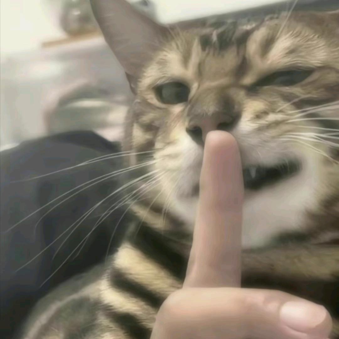 世界末末日