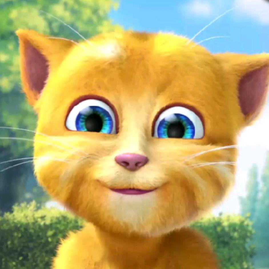 猫大爷