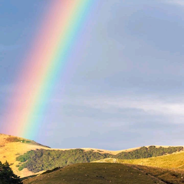 星辉卷閘钢构隔热防水工程