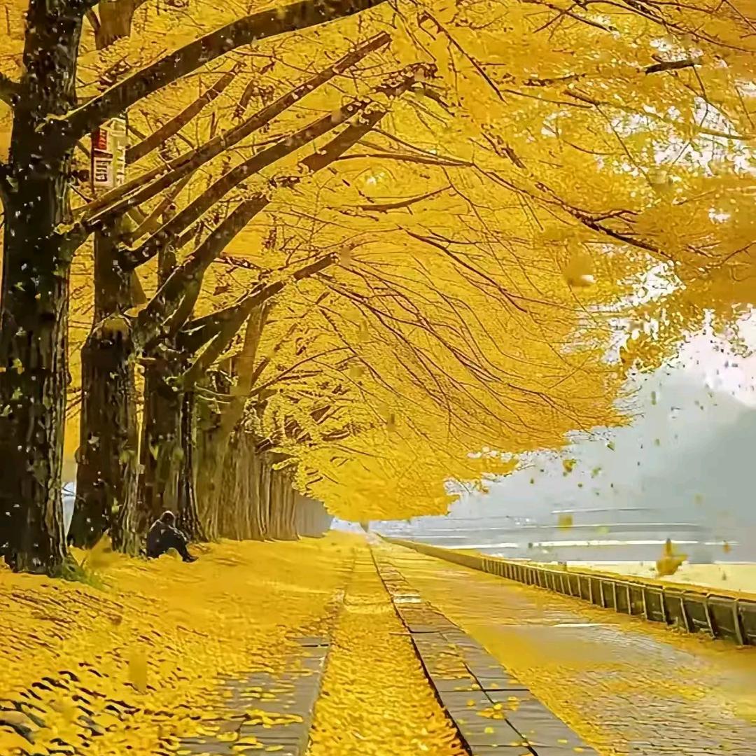 申港特色铁板炒