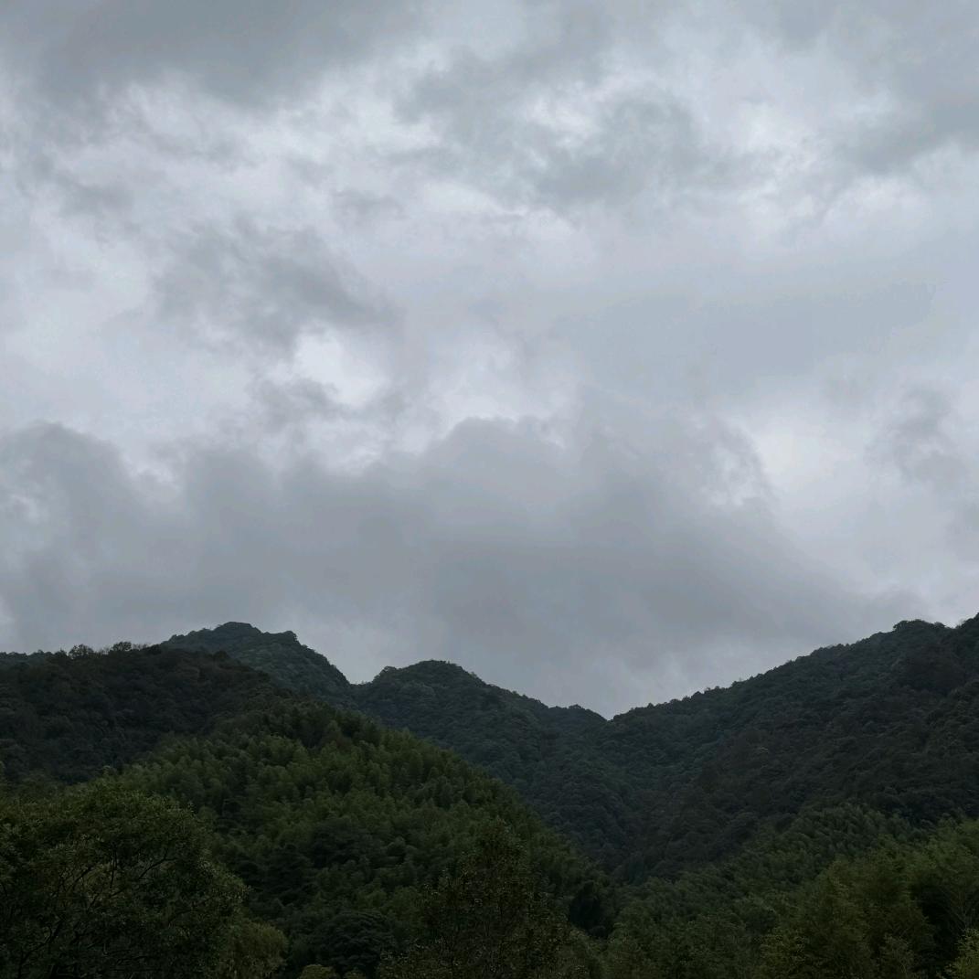 柔情万里