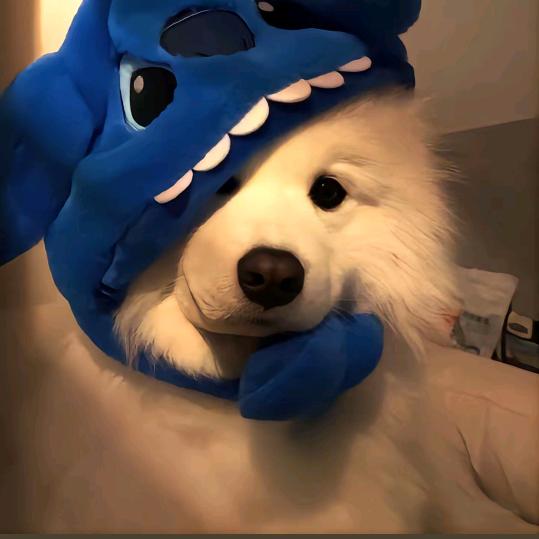 渡过
