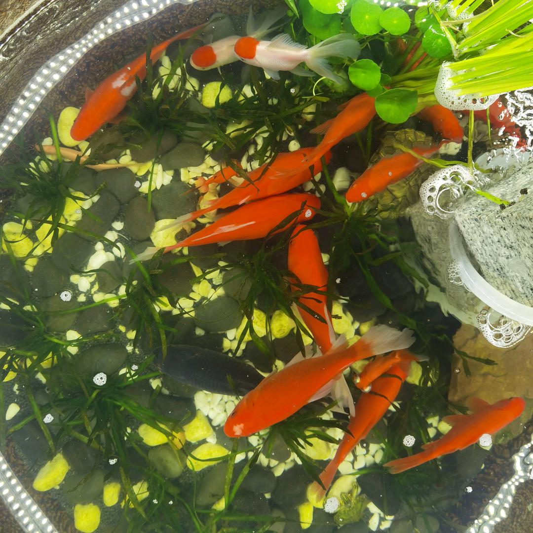 一日就是一天