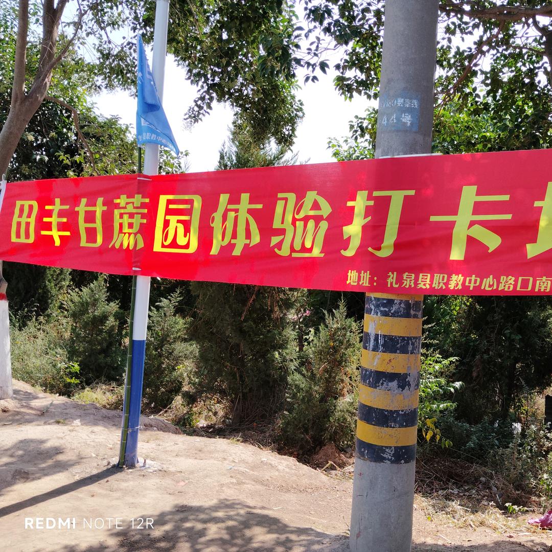 礼泉县田丰甘蔗采摘园