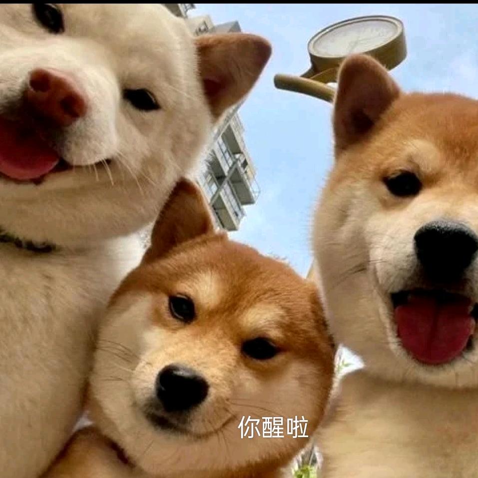 风林火山🇵🇸