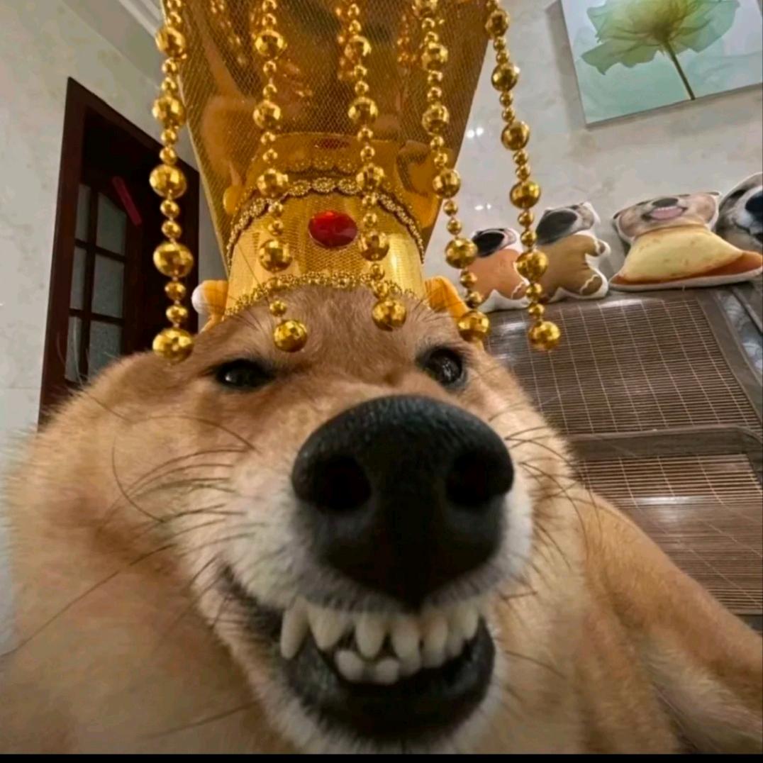 。。。。