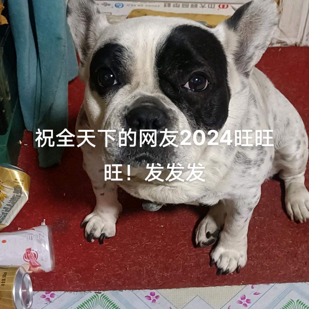 马大帅