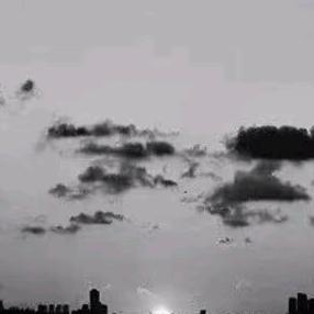 用户378931231