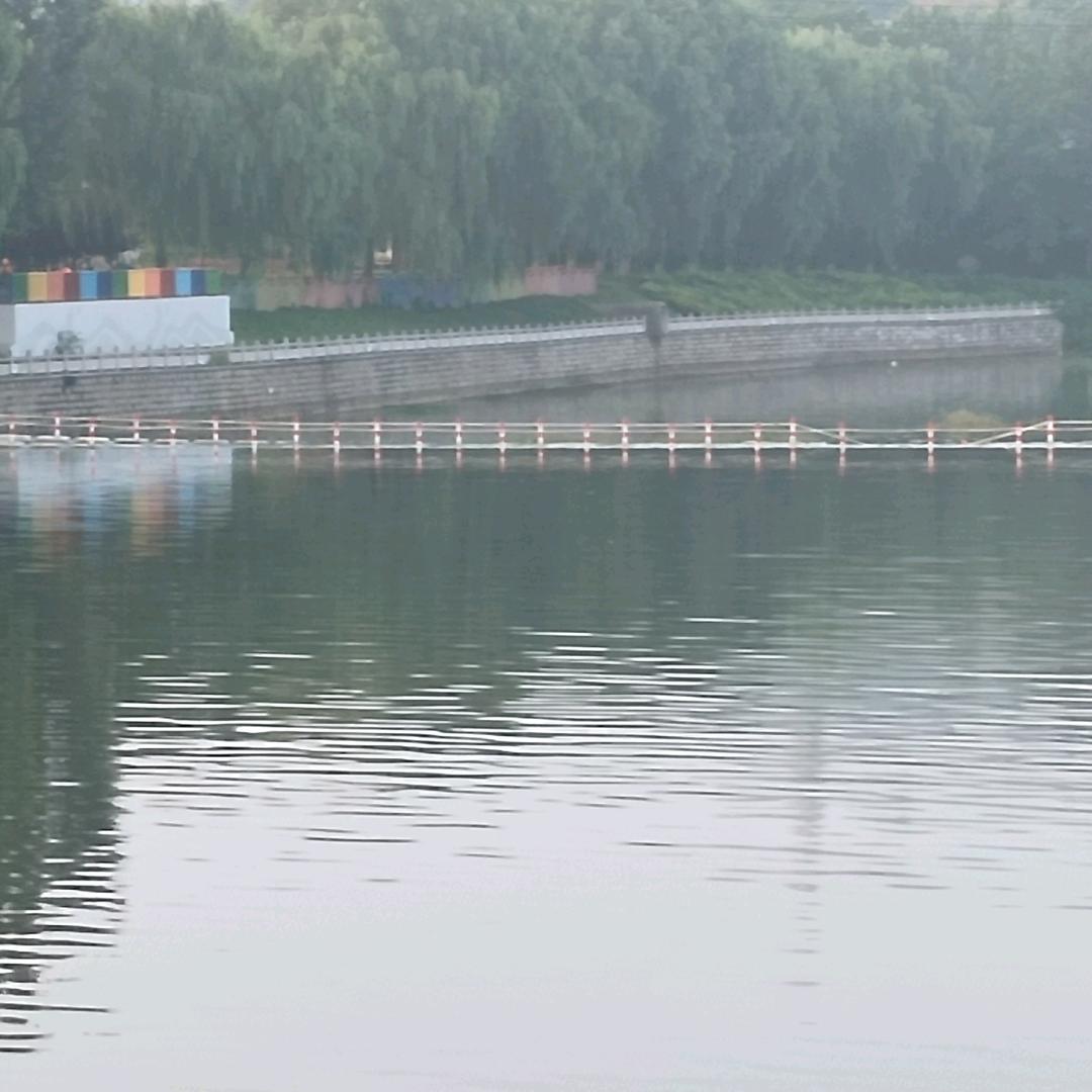 乐逍遥