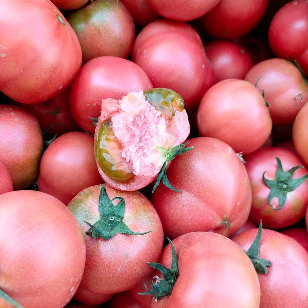 西瓜🍉西红柿🍅