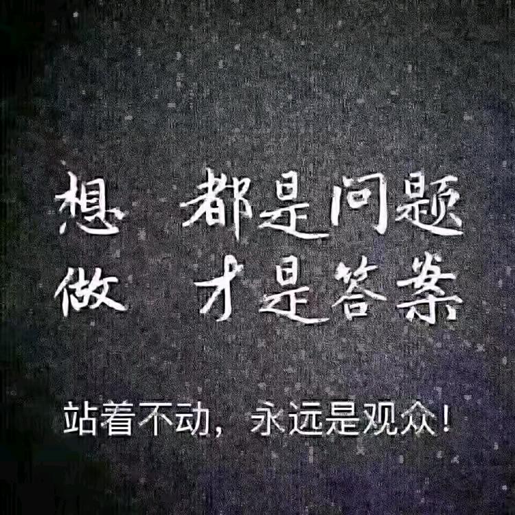 飞翔的企鹅