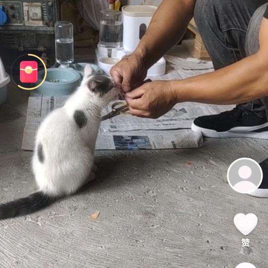 崩溃边缘