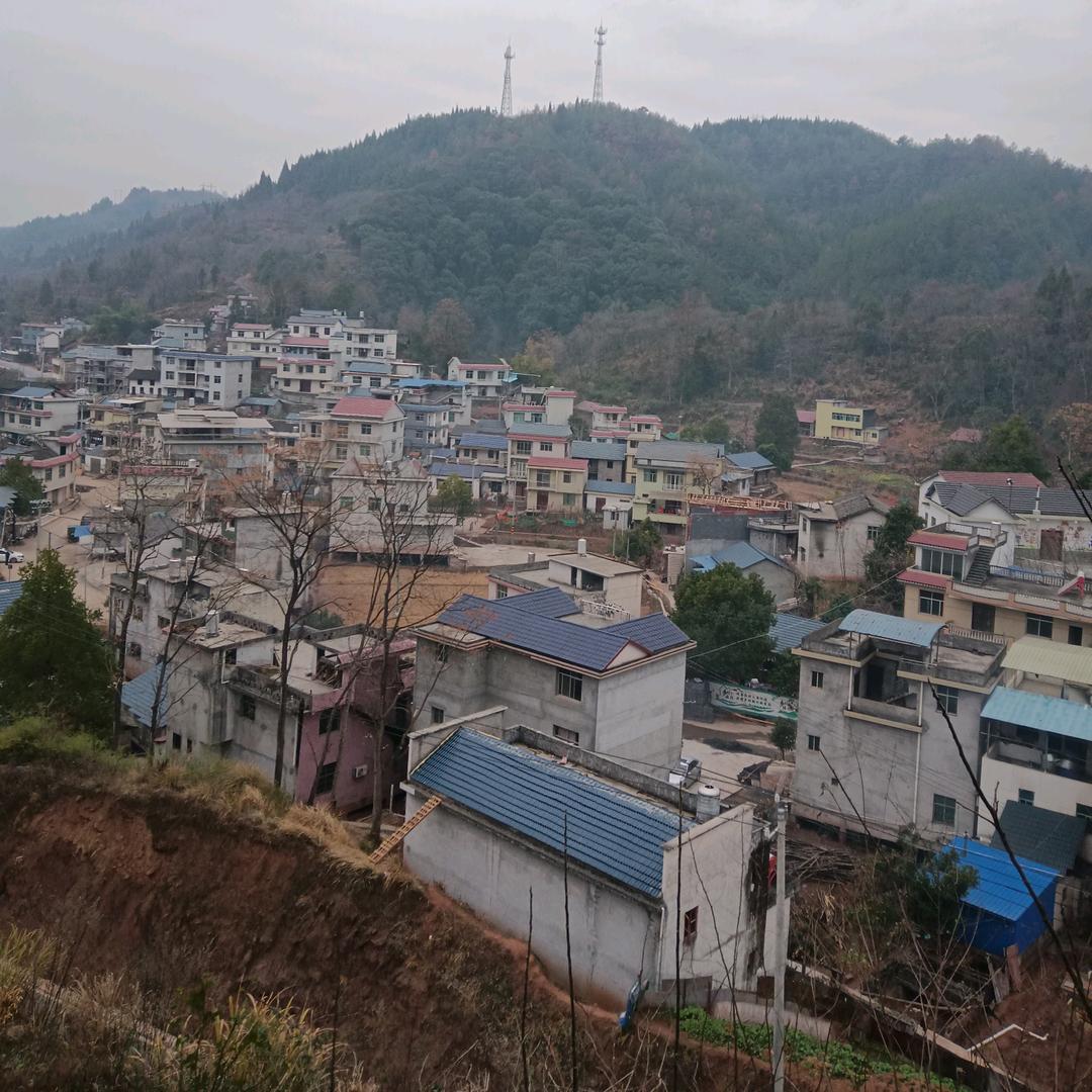 忙忙碌碌每一年