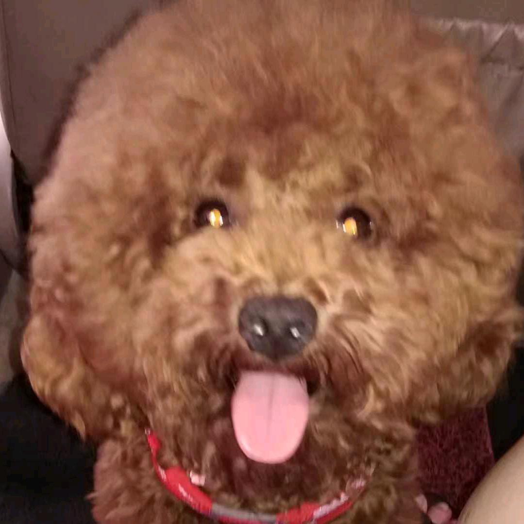 ꧁💖余生꧔ꦿ℘᭄ᩚ꯭ᩚ随心💖