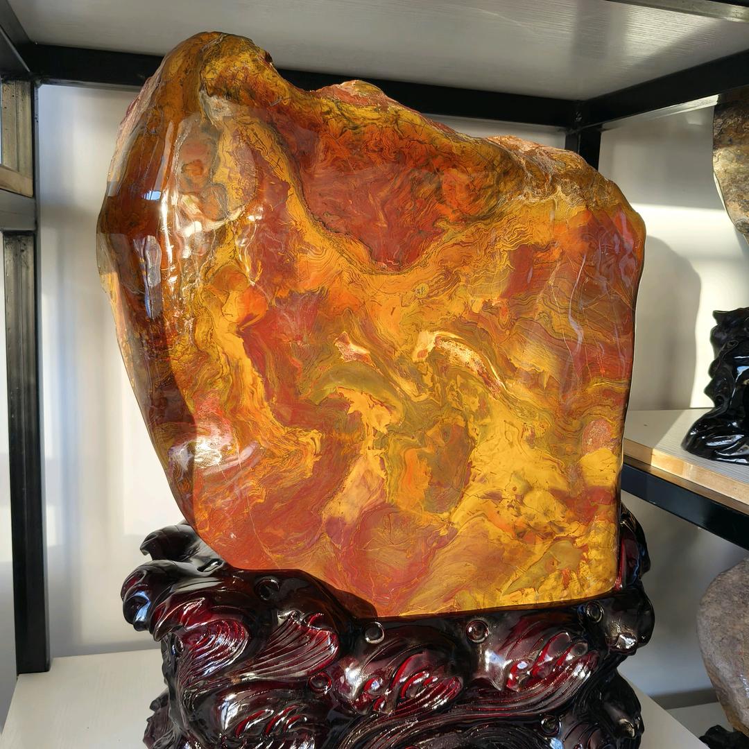 万里奇石（树化石树化玉）