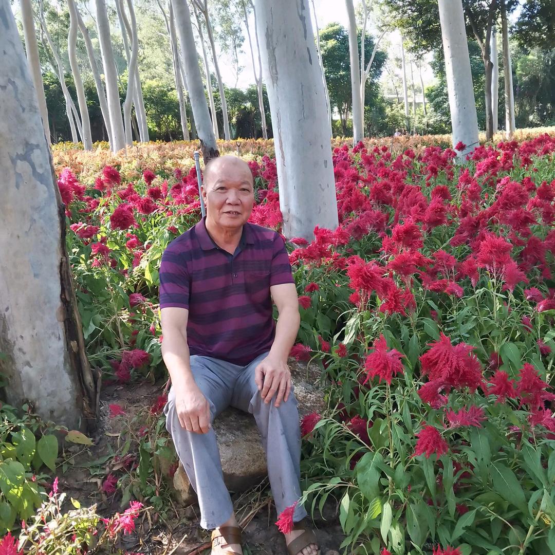 用户3563916804640