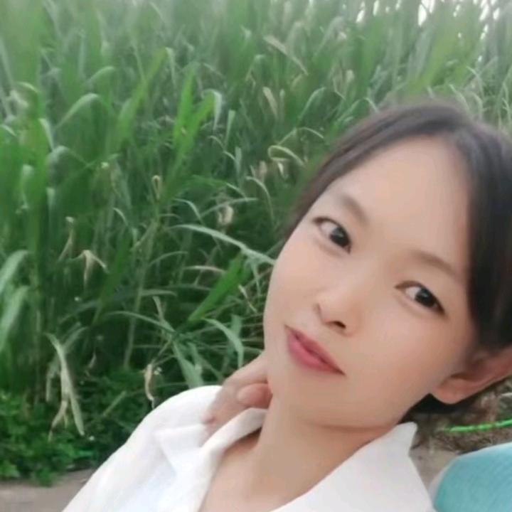 出没