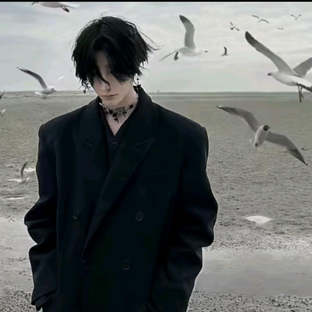 鹤🕊️