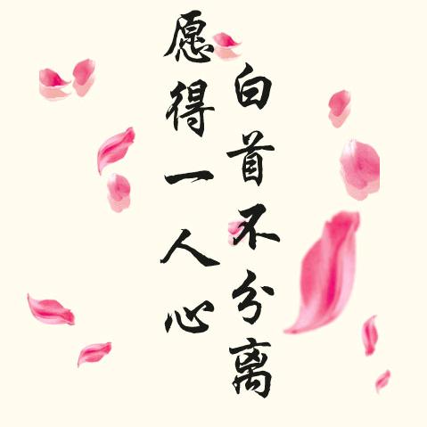 我的心里只有你