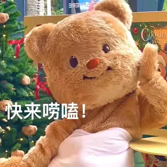 百叶龙嘉乐菲菲