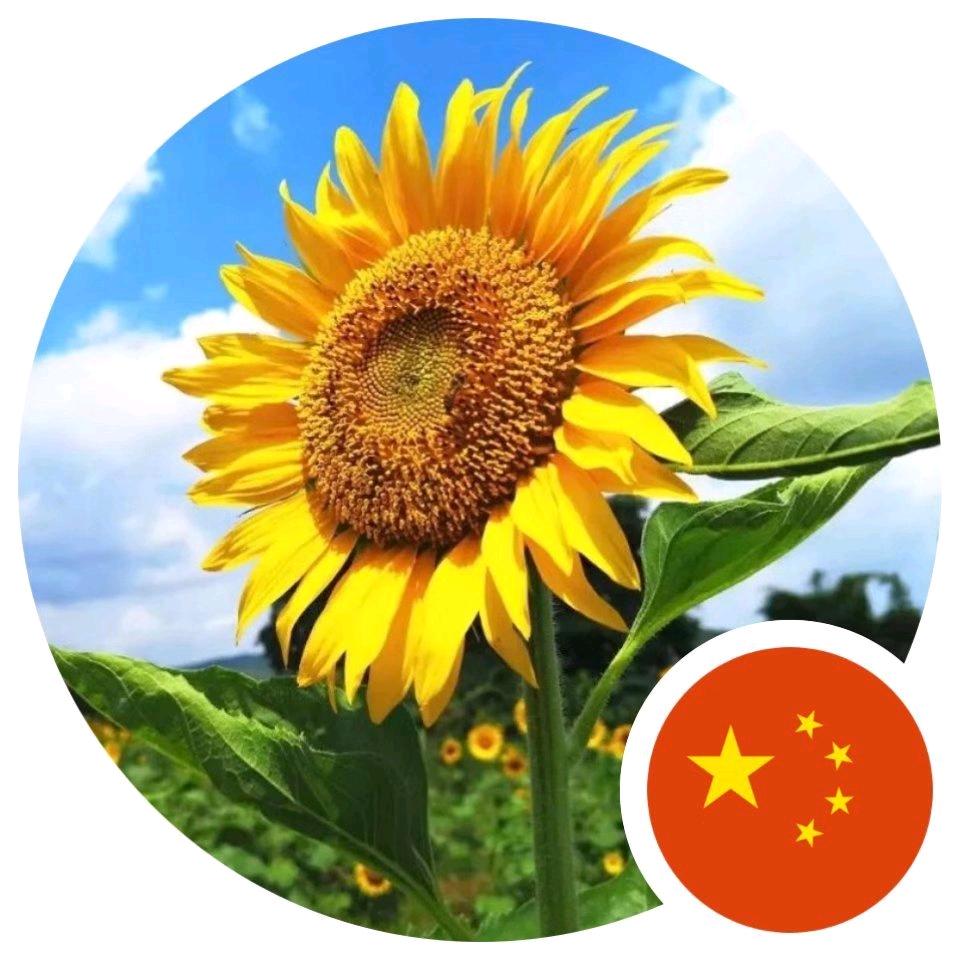 吾凤来仪好物分享